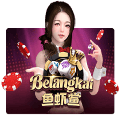 pawin88 JK slot Belangkai